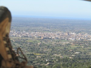 IMG_4409 (Medium)